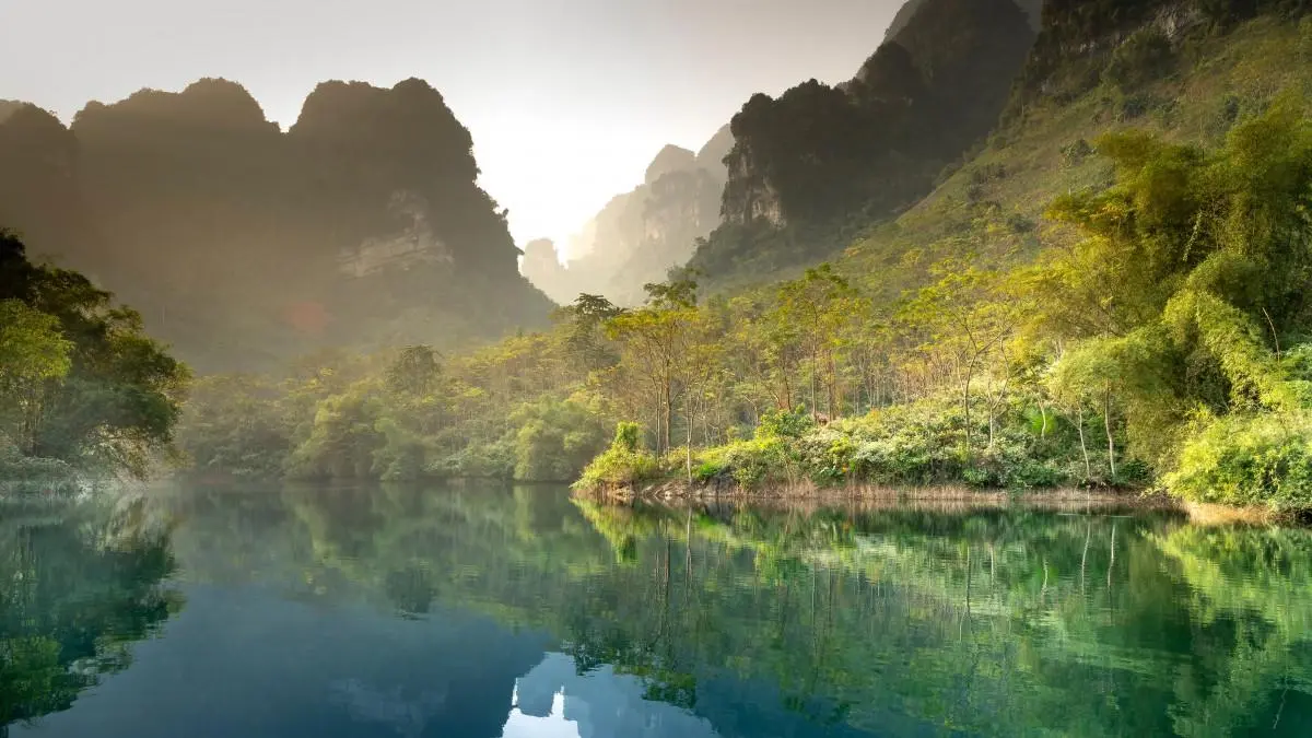 高效可靠性